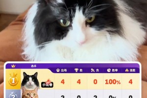 詹俊的猫预测世界杯赛果100%准确