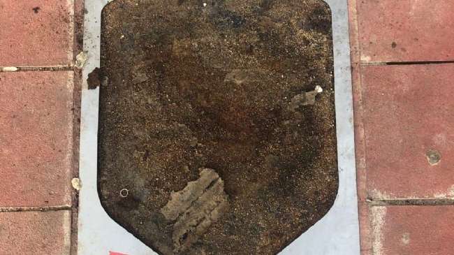 荷兰vs瑞典视频直播_荷兰vs瑞典比分直播_荷兰vs瑞典全场录像