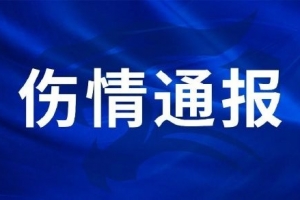 刘奕鸣在训练中手掌骨折，手术成功完成