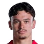法比安·里德