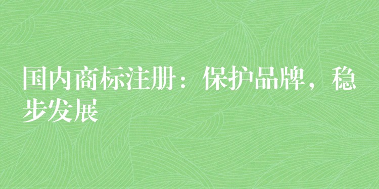 国内商标注册：保护品牌，稳步发展