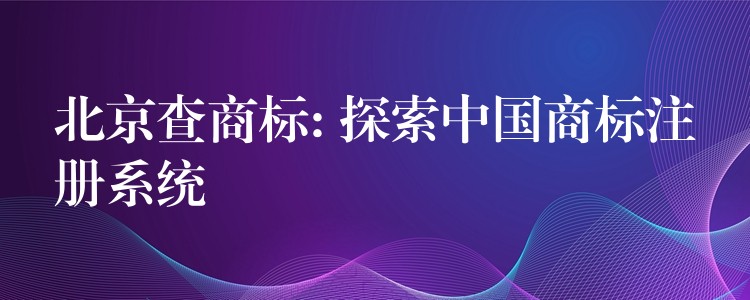 北京查商标: 探索中国商标注册系统