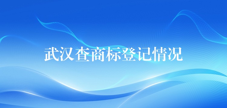 武汉查商标登记情况