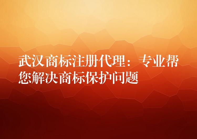 武汉商标注册代理：专业帮您解决商标保护问题