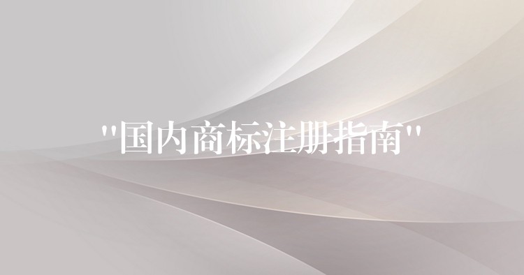 “国内商标注册指南”