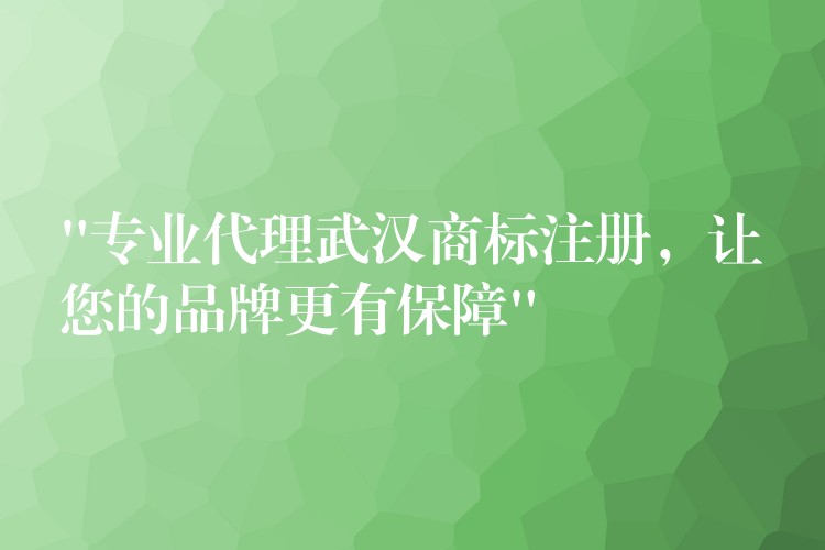 “专业代理武汉商标注册，让您的品牌更有保障”