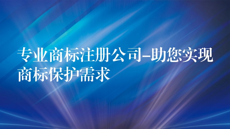 专业商标注册公司-助您实现商标保护需求