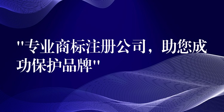 “专业商标注册公司，助您成功保护品牌”