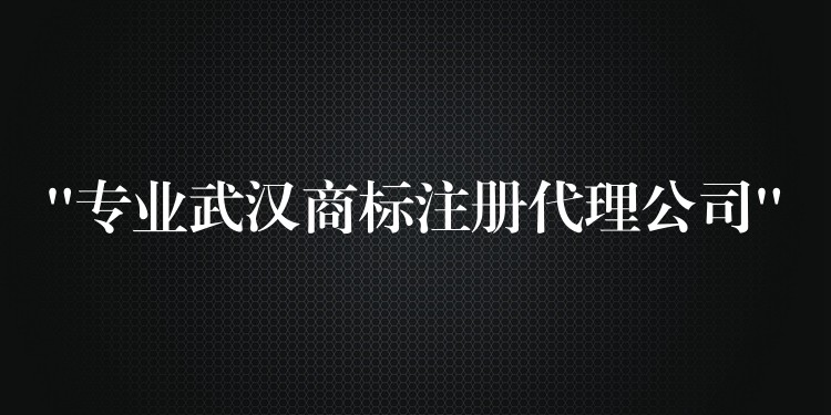 “专业武汉商标注册代理公司”