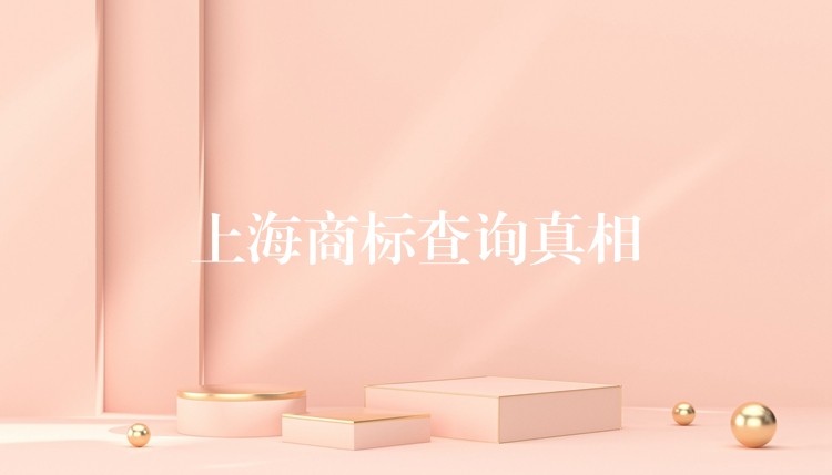 上海商标查询真相