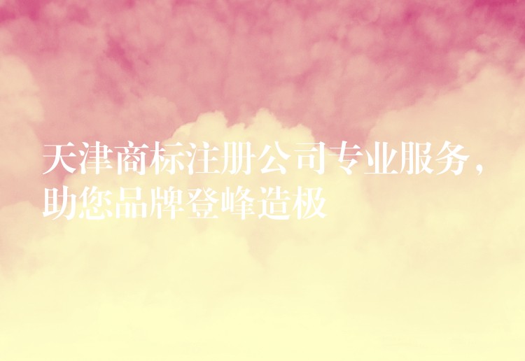 天津商标注册公司专业服务，助您品牌登峰造极